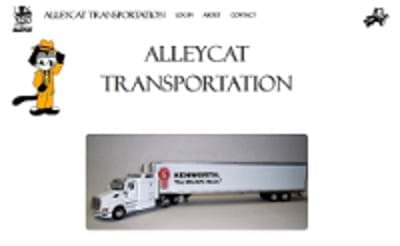 Alley Cat